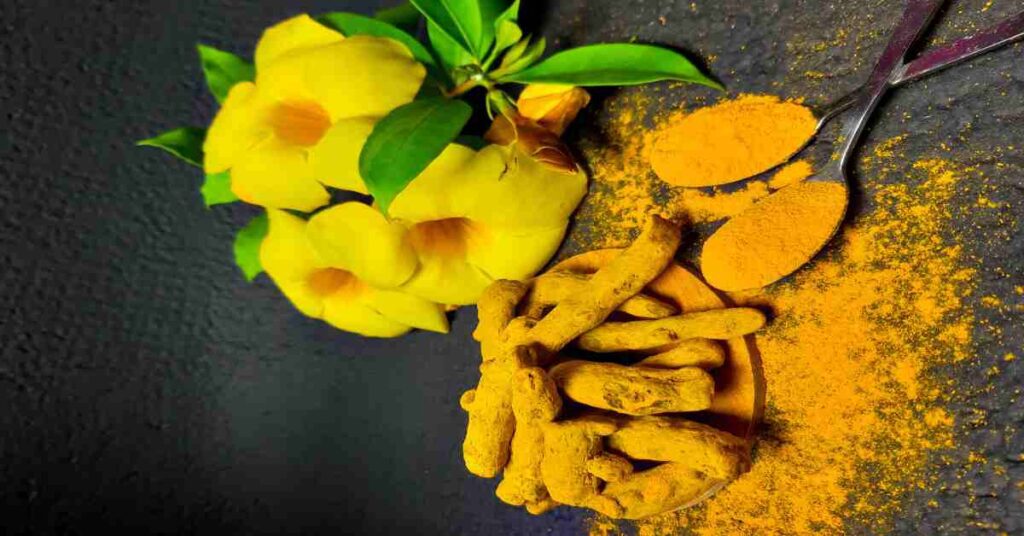 turmeric benefits